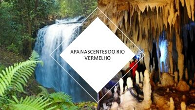 APA