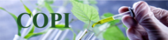 Banner.copi2 Banner.copi2