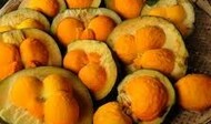 images34