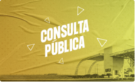 Consulta Pública