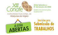 Banner Conafe Banner Conafe