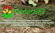 Banner ProforEXT