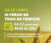 III Fórum do Trigo Tropical Letusa - Copia