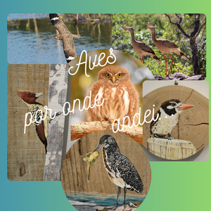 Aves por onde andei4 - site