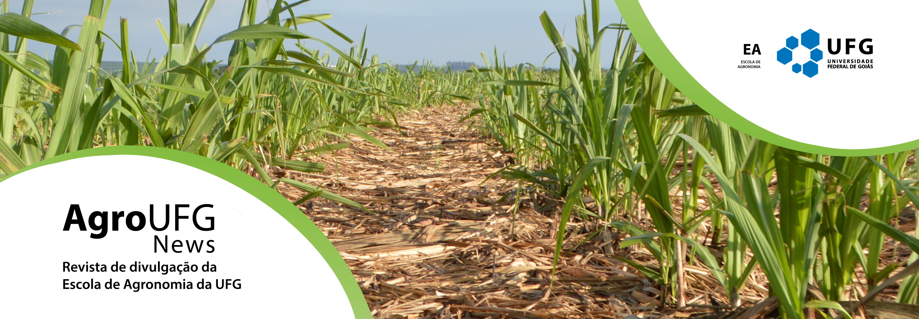 Banner AgroUFG News 2026
