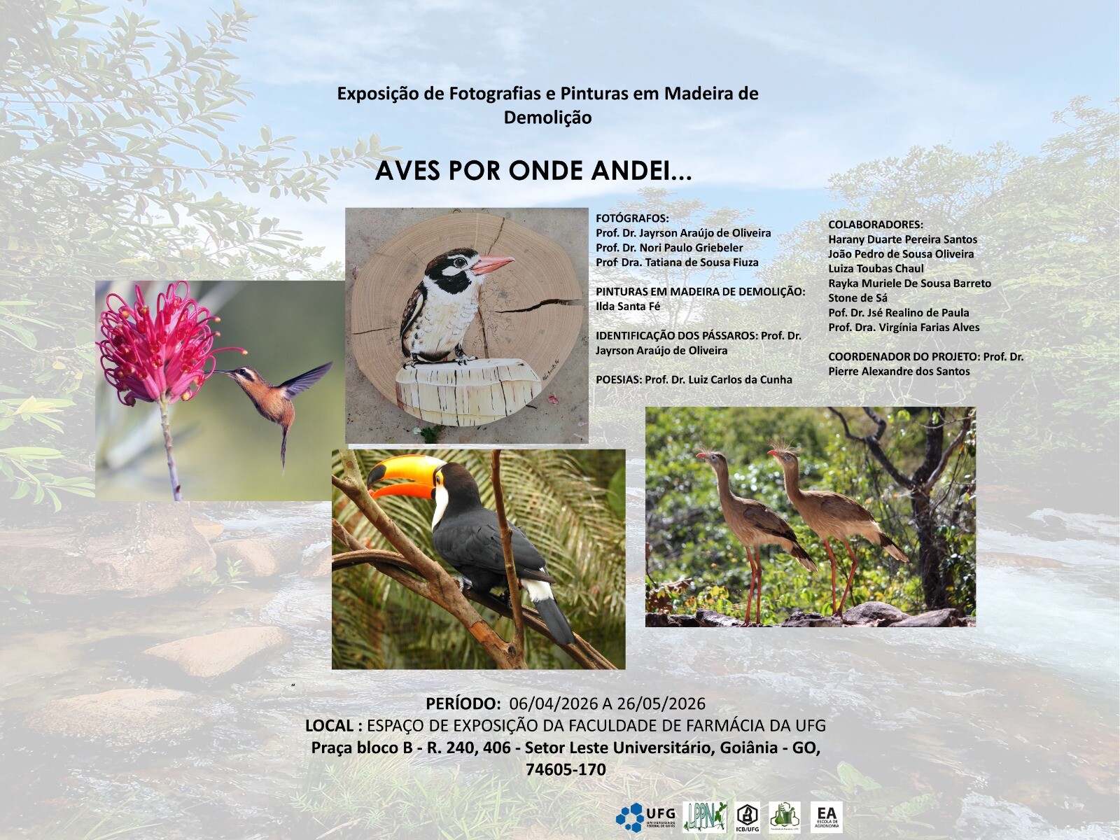 Folder Aves