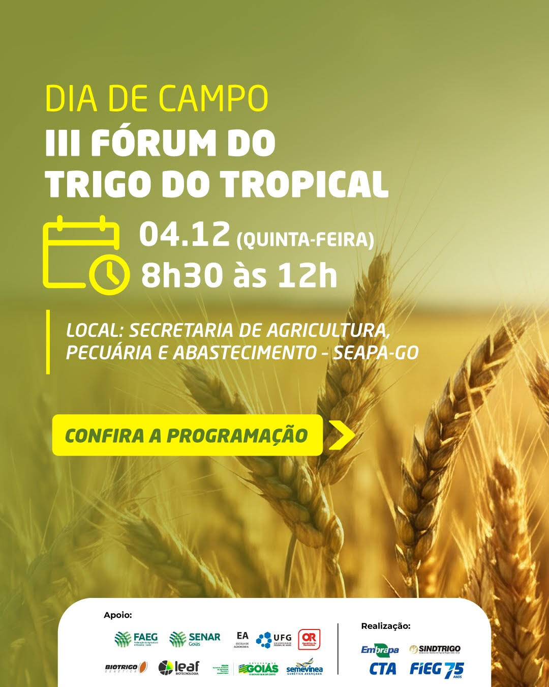 III Fórum do Trigo Tropical Letusa