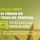 III Fórum do Trigo Tropical Letusa - Copia