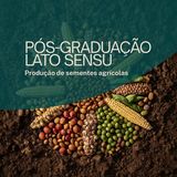 Post PÓS-GRADUAÇÃO LATO SENSU