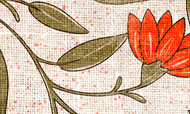 Desenredos 13