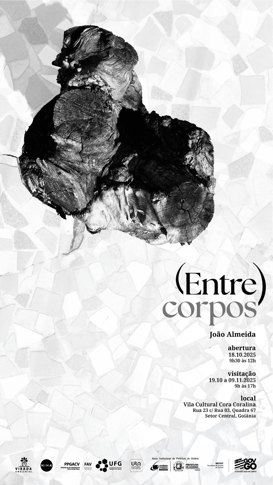 Exposição Entrecorpos