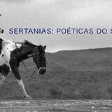miniatura - 07102025 - sertanias