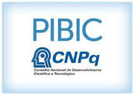 pibic