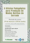 II OFICINA PRODUÇÃO DE MUDAS