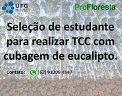Seleção de estudante para TCC com cubagem de eucalipto