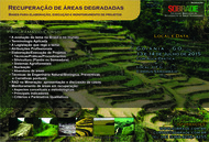 CURSO RAD NOVO