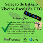 ESTÁGIO VIVEIRO-ESCOLA