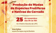Banner do curso de produção de mudas 2016