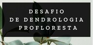 desafio
