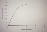 tempo