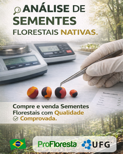 ANÁLISE DE SEMENTES FLORESTAIS