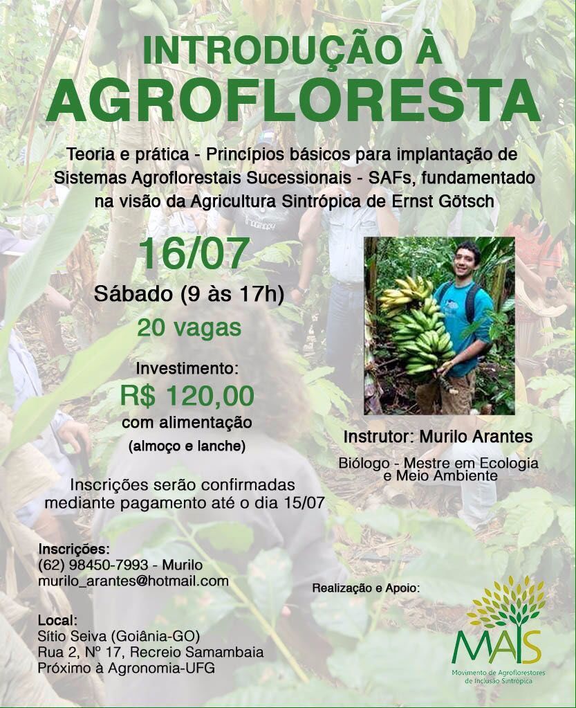 curso agrofloresta