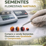ANÁLISE DE SEMENTES FLORESTAIS