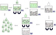 nano_pol_rad_remover