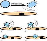 Microbubbles