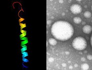 Nanotecnologia no combate