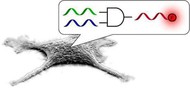 computacao-dna