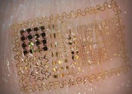 eletronica-epidermica