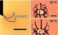 microrobo