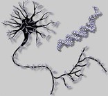 rede_neural