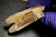 sensor-de-bacterias
