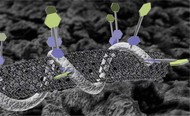 sensor_nanotubo