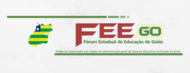 banner FEEGO site 2
