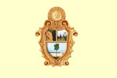 bandeira Manaus