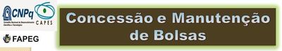 Procedimentos da Pró-Reitoria de Pós-Graduação UFG sobre a Concessão e Manutenção de Bolsas Procedimentos da Pró-Reitoria de Pós-Graduação UFG sobre a Concessão e Manutenção de Bolsas