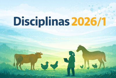 disciplinas 2026_1