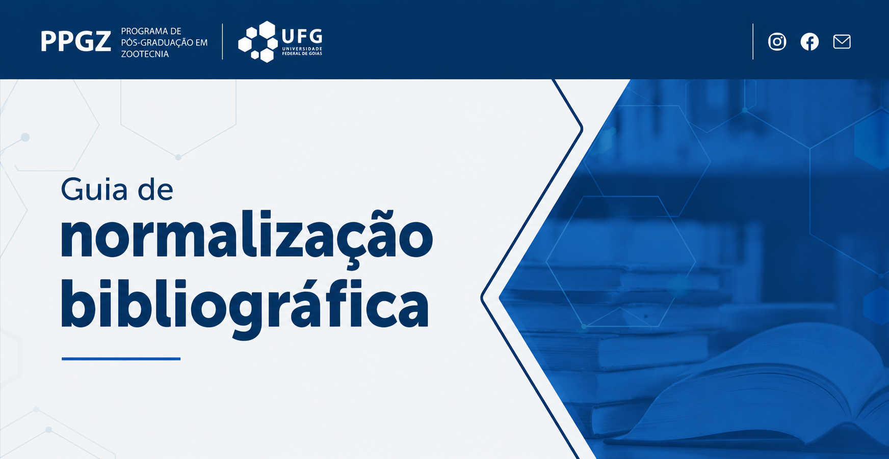 Guia de normalização bibliográfica - imagem