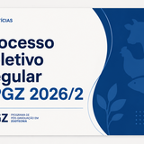Figura PS 2026/2