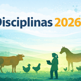 disciplinas 2026_1