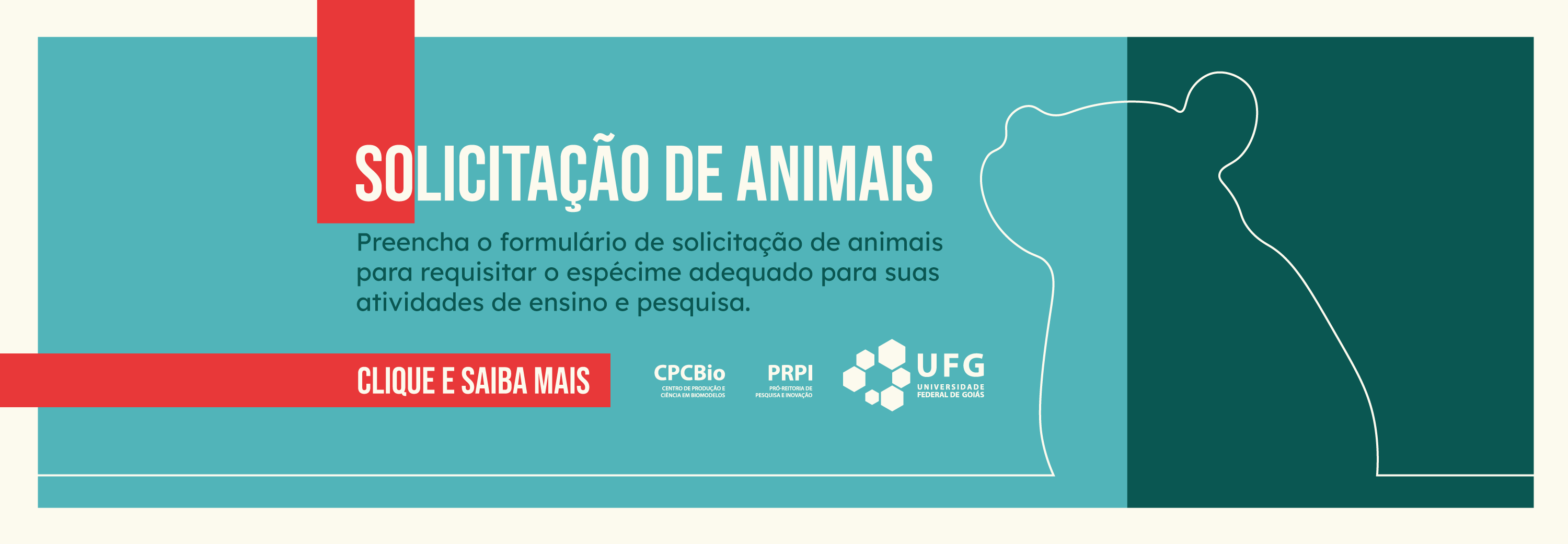 fullbanner_solicitacao_animais