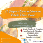 II Colóquio - Ensino de Ciências nas Relações Étnico Raciais