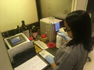 noticia lames combustível