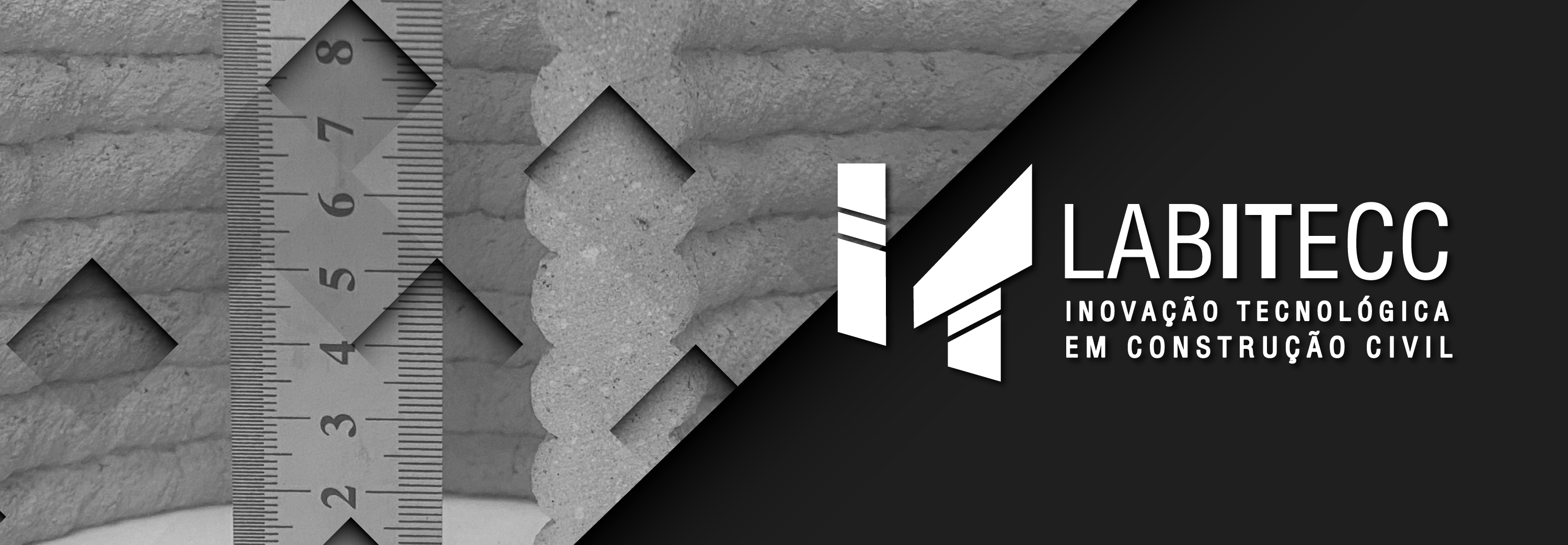 fullbanner_home_labitecc