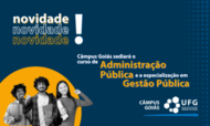 Novidade