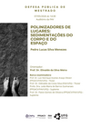 mestrado menezes.png