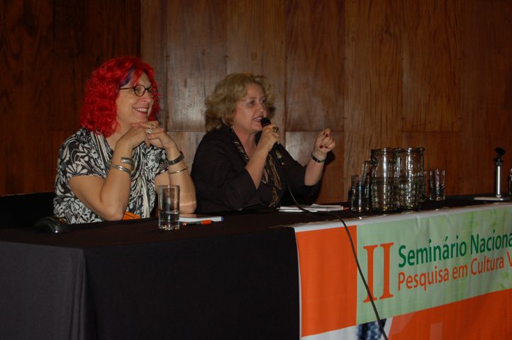 I Seminário Nacional de Pesquisa em Cultura Visual
